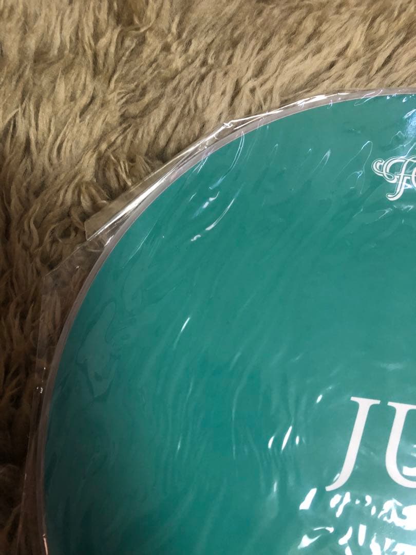 SEVENTEEN ジュン JUN FOLLOW うちわ