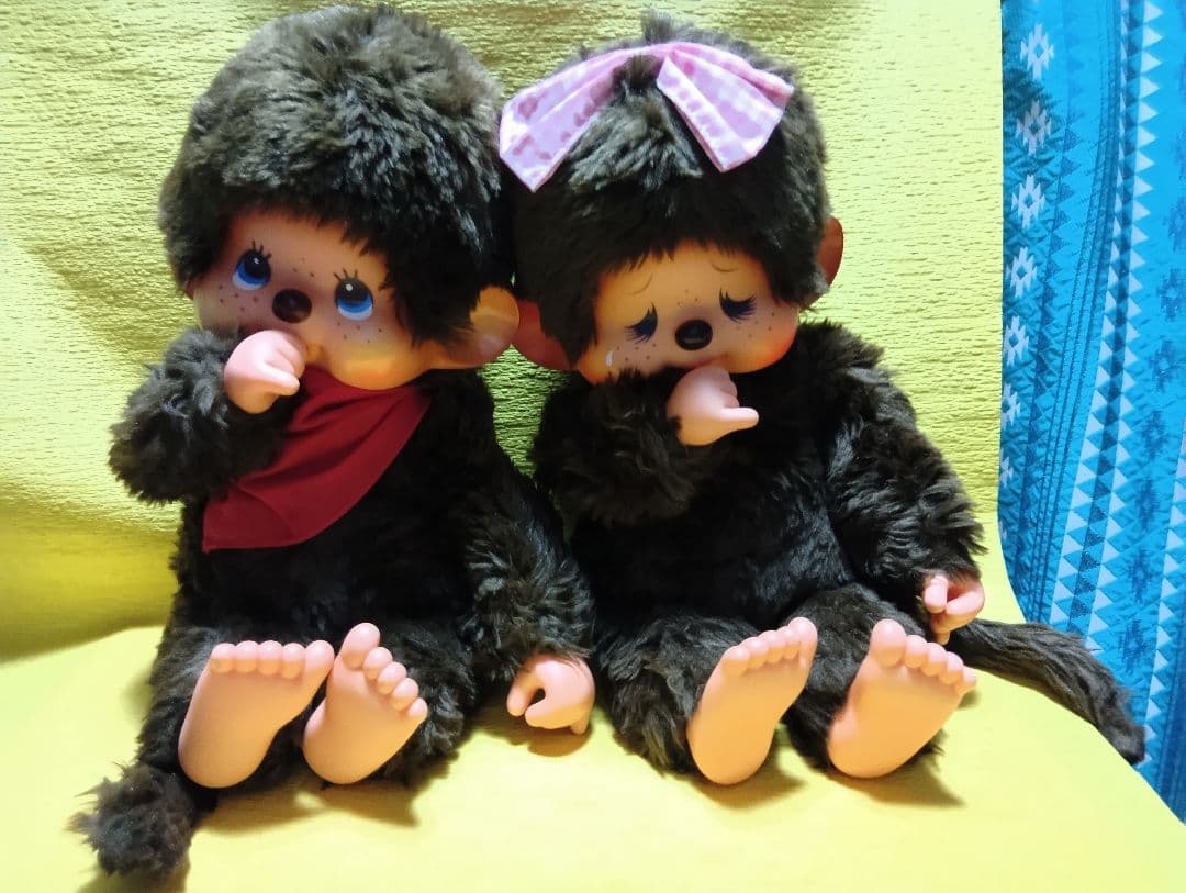 50歳の大きなモンチッチ