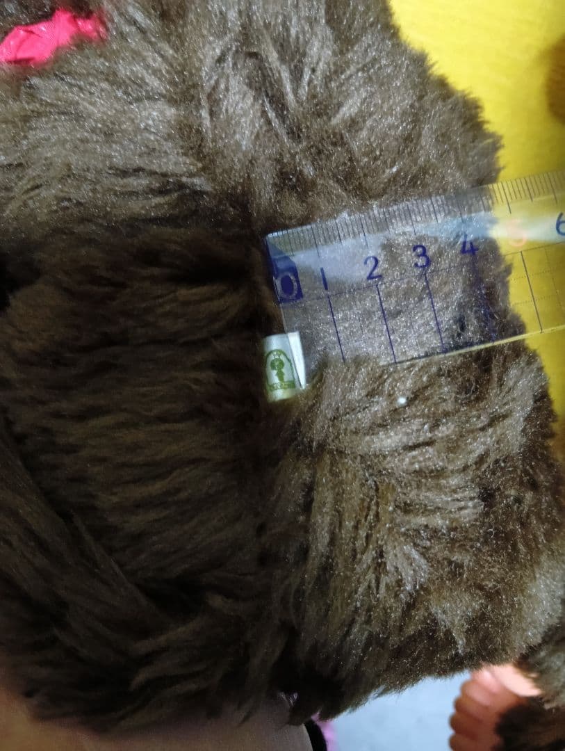 50歳の大きなモンチッチ