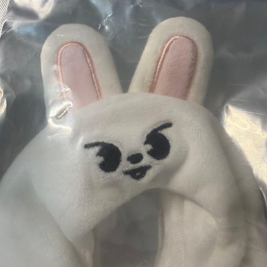 straykids SKZ リビ リービット リノ ペンラカバー ver.2