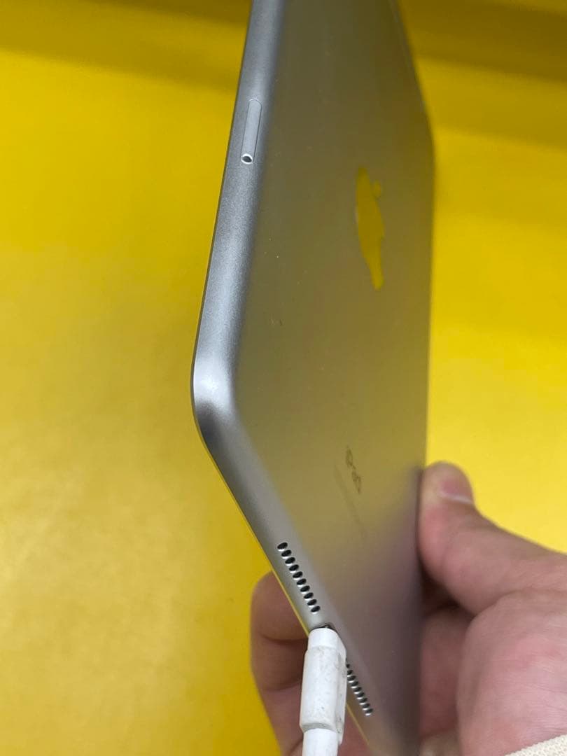 味*り様 iPad mini 第5世代 MUX62J 64GB