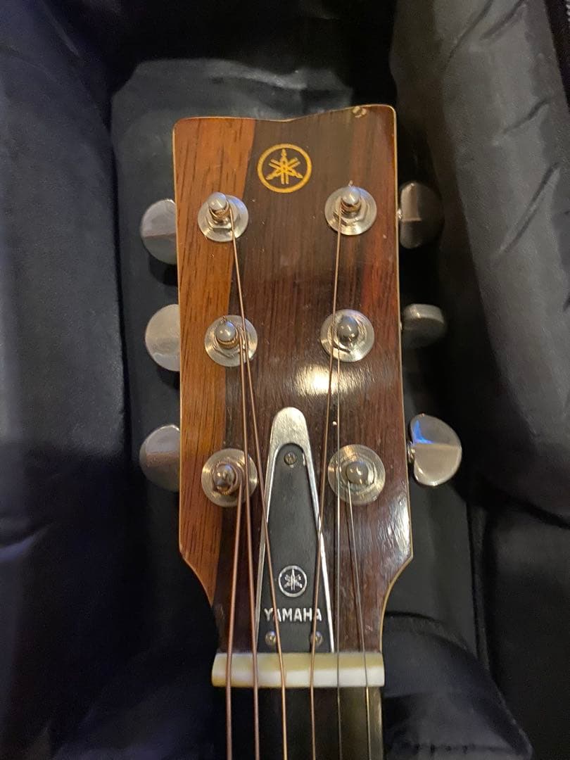 YAMAHA FG500 hハカランダ単板バック