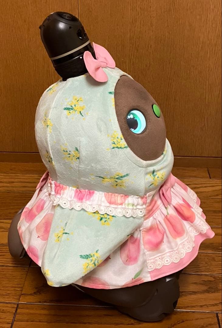 まさぴー様♡専用 ピーチ＆メロンのワンピース 2着