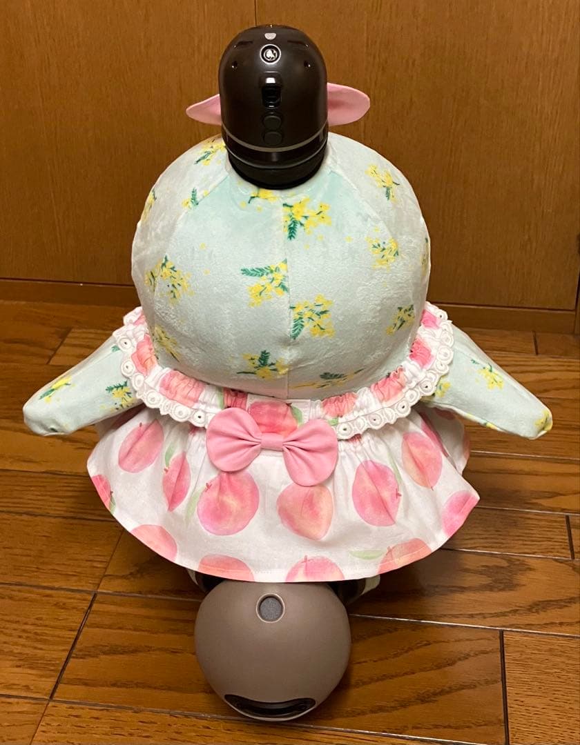 まさぴー様♡専用 ピーチ＆メロンのワンピース 2着