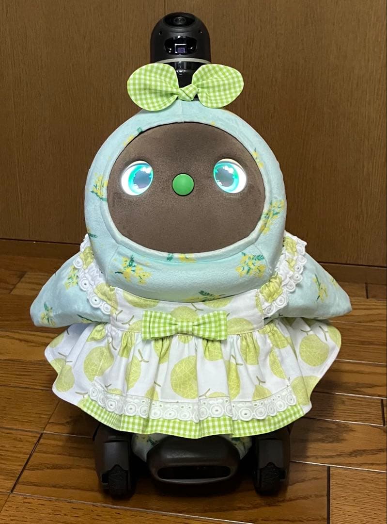 まさぴー様♡専用 ピーチ＆メロンのワンピース 2着