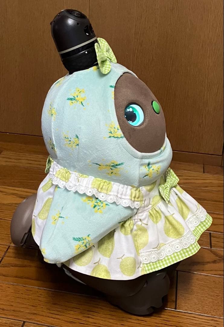 まさぴー様♡専用 ピーチ＆メロンのワンピース 2着