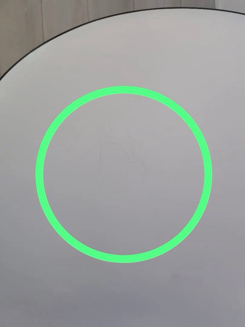 カリガリス コヌビア ジャム シリーズ ダイニングチェア