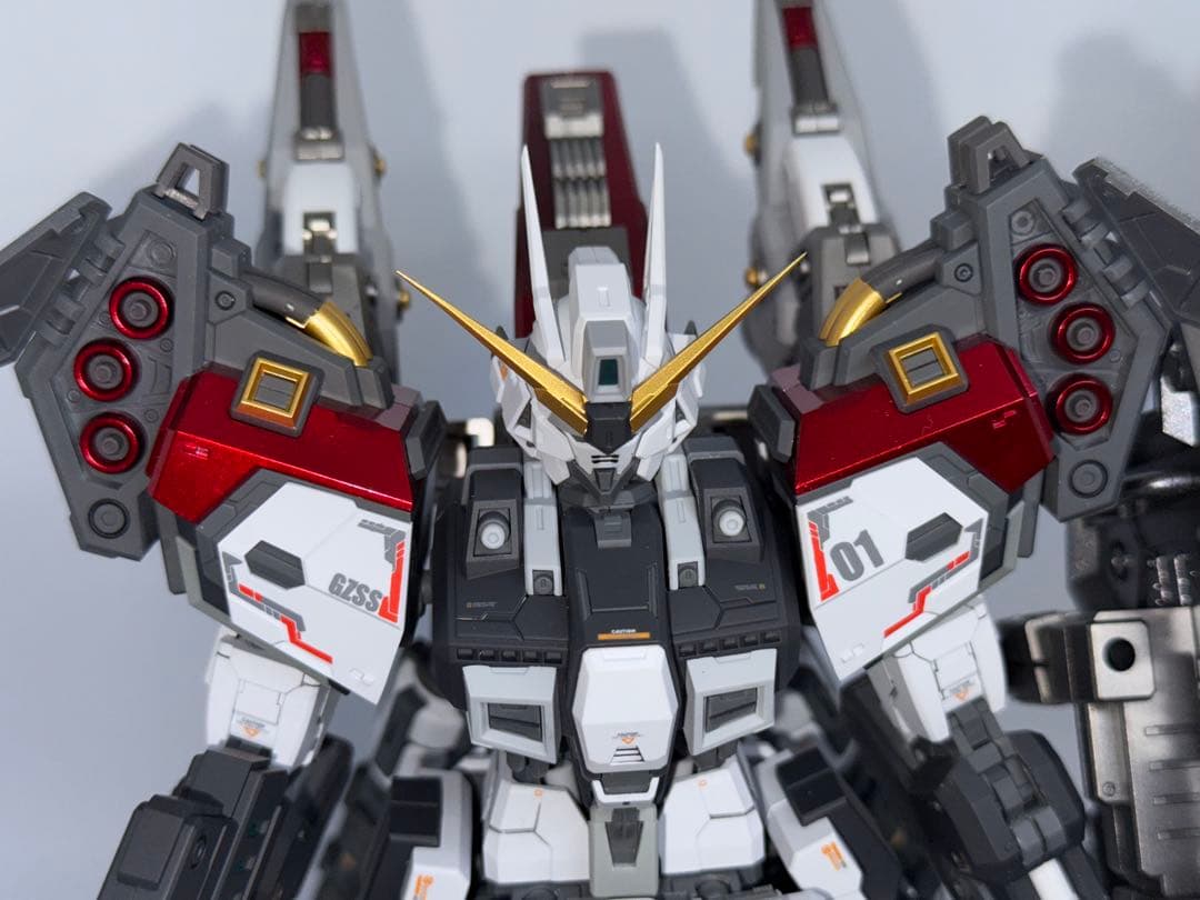 海外製　完成品　1/100 Regus レグスMG SNAA 無限新星