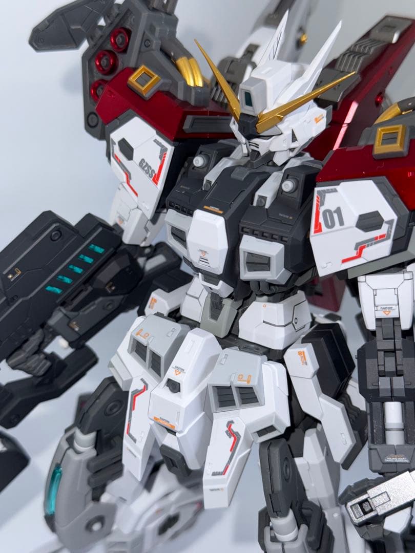 海外製　完成品　1/100 Regus レグスMG SNAA 無限新星