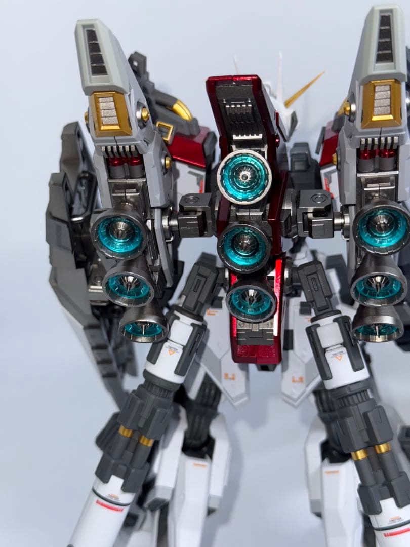 海外製　完成品　1/100 Regus レグスMG SNAA 無限新星