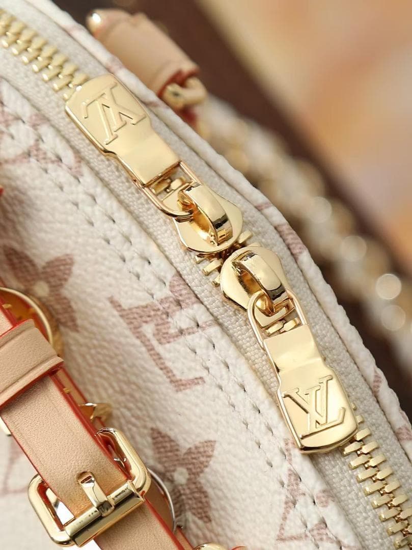 ✨実物の写真 ✨Louis Vuitton ミニショルダーバッグ~~~