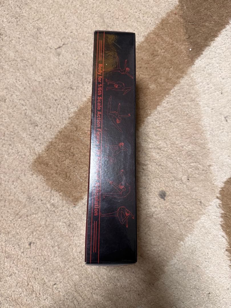 TBLeague 1/6 シームレス女性素体 S10D（ペール／ラージバスト）