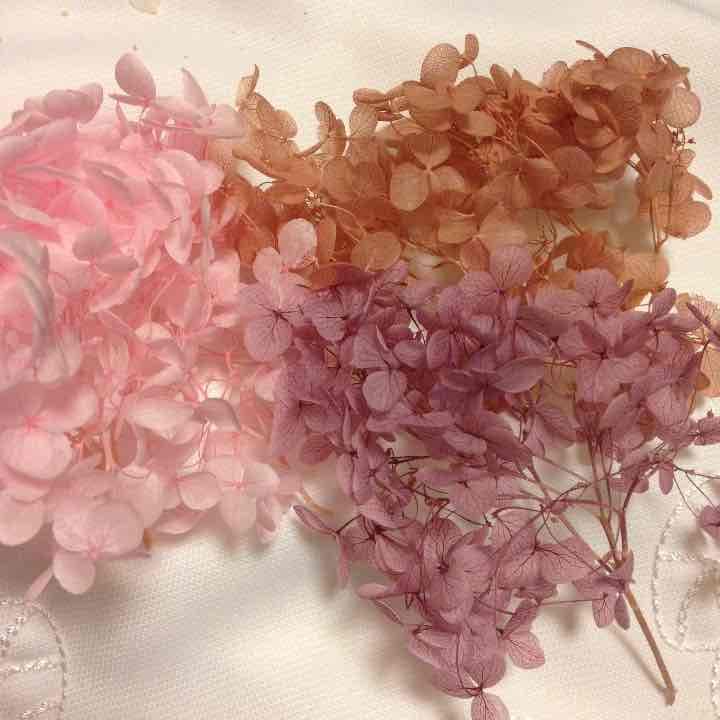 アナベル アジサイ 確認用 ③ プリザーブドフラワー