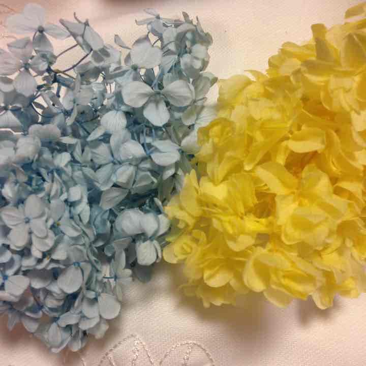 アナベル アジサイ 確認用 ③ プリザーブドフラワー