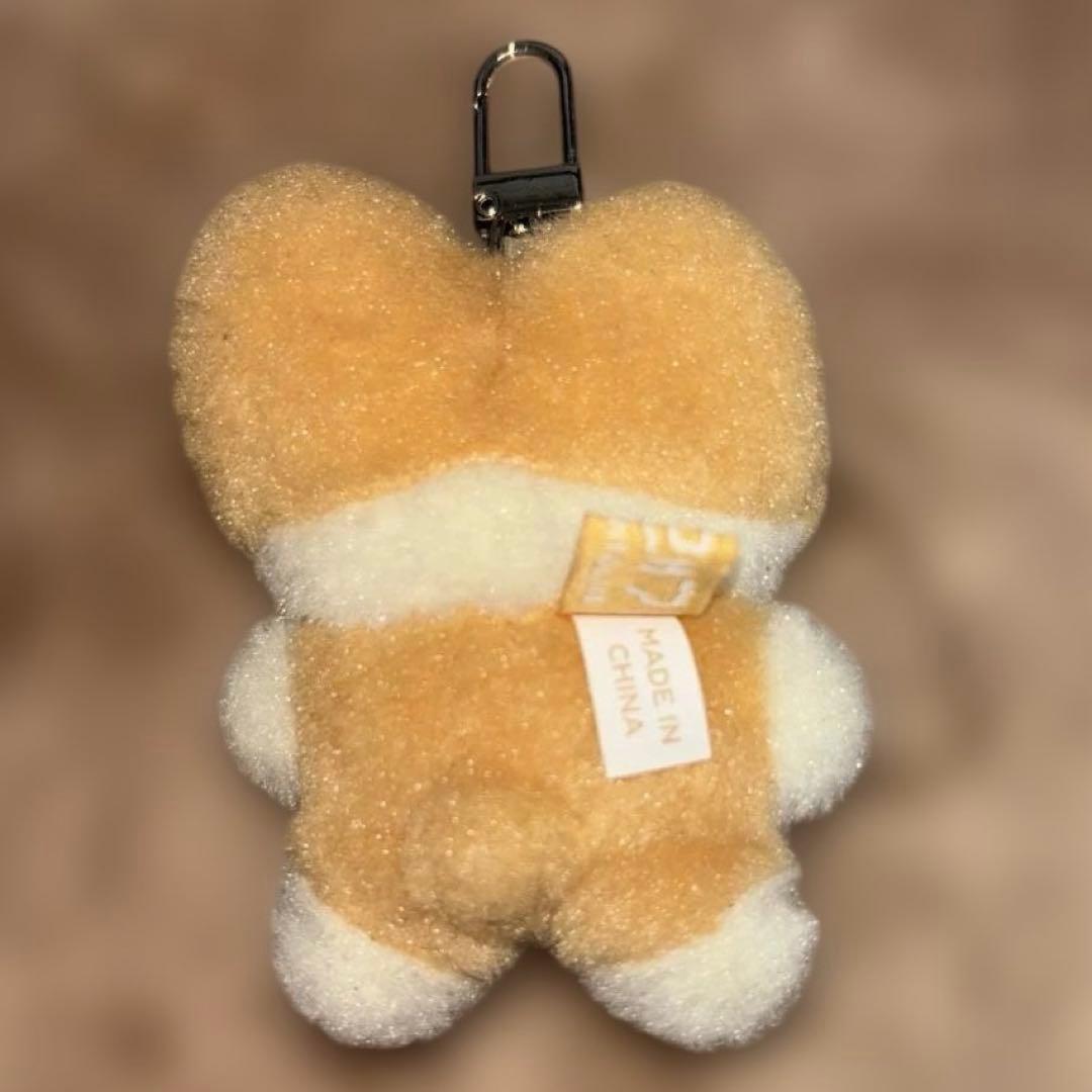 EXO ベッキョン　TEOLAEGI トレギ　キーリング