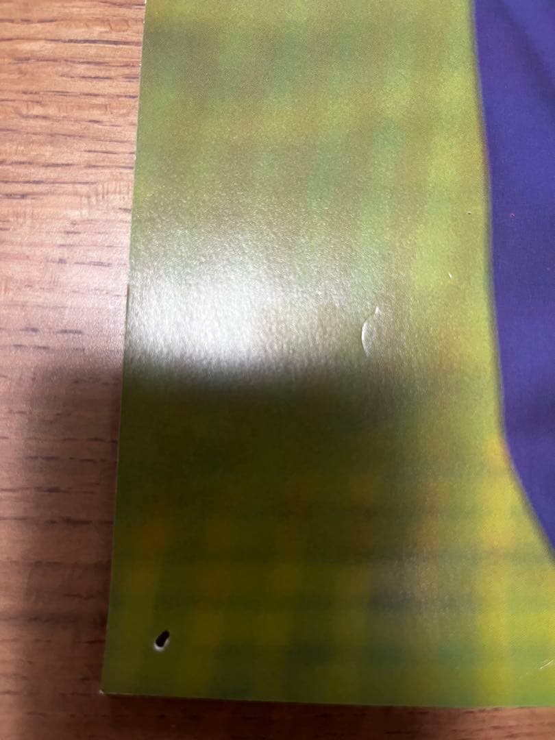 龍宮城　冨田侑暉　ポスター