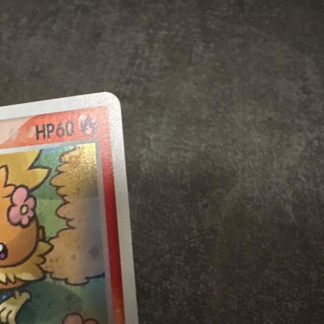 ポケモンカード キラ ポケパークのアチャモ プレミアムファイル 002/009