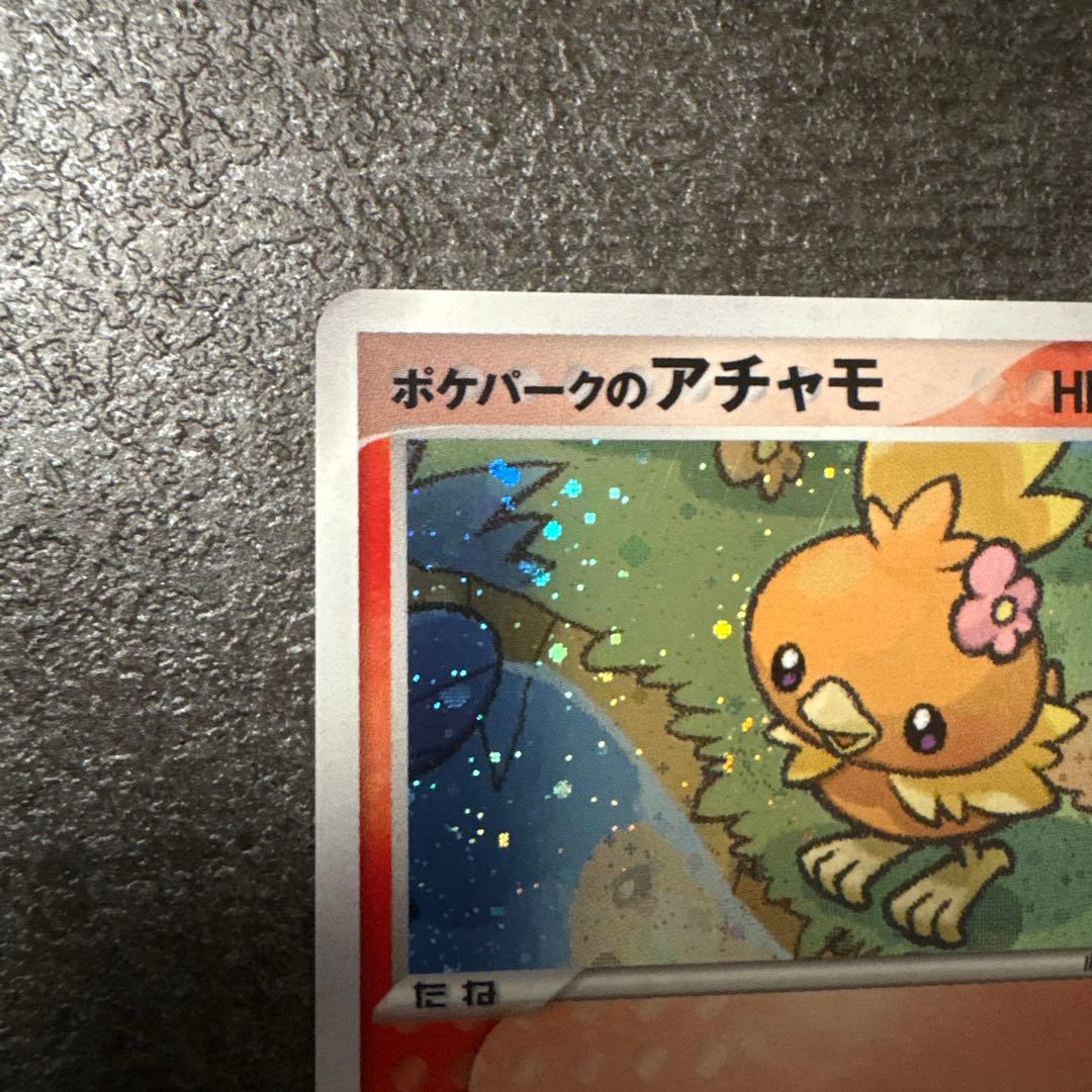 ポケモンカード キラ ポケパークのアチャモ プレミアムファイル 002/009