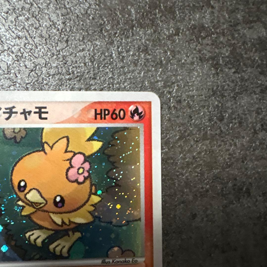 ポケモンカード キラ ポケパークのアチャモ プレミアムファイル 002/009