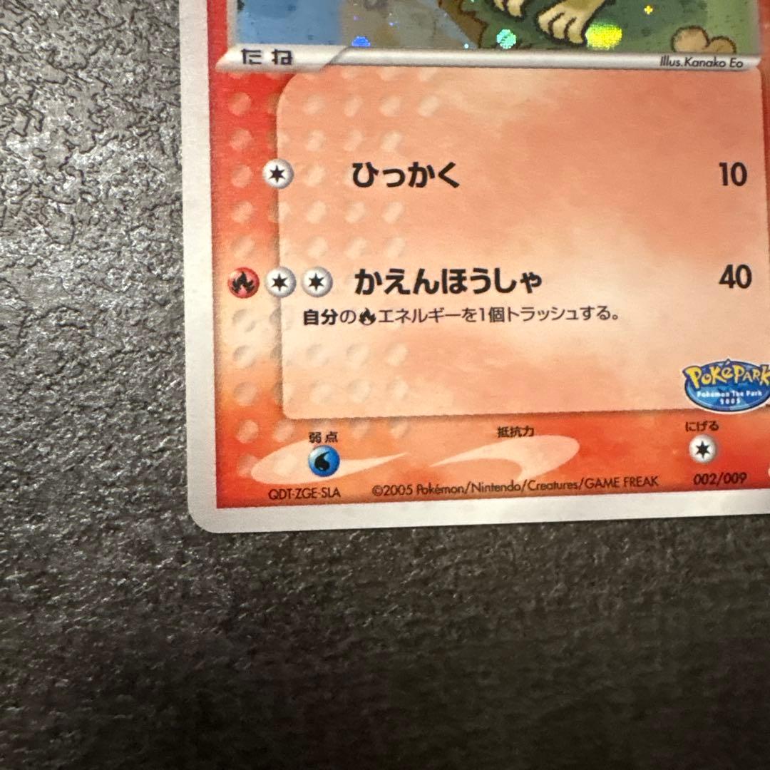 ポケモンカード キラ ポケパークのアチャモ プレミアムファイル 002/009