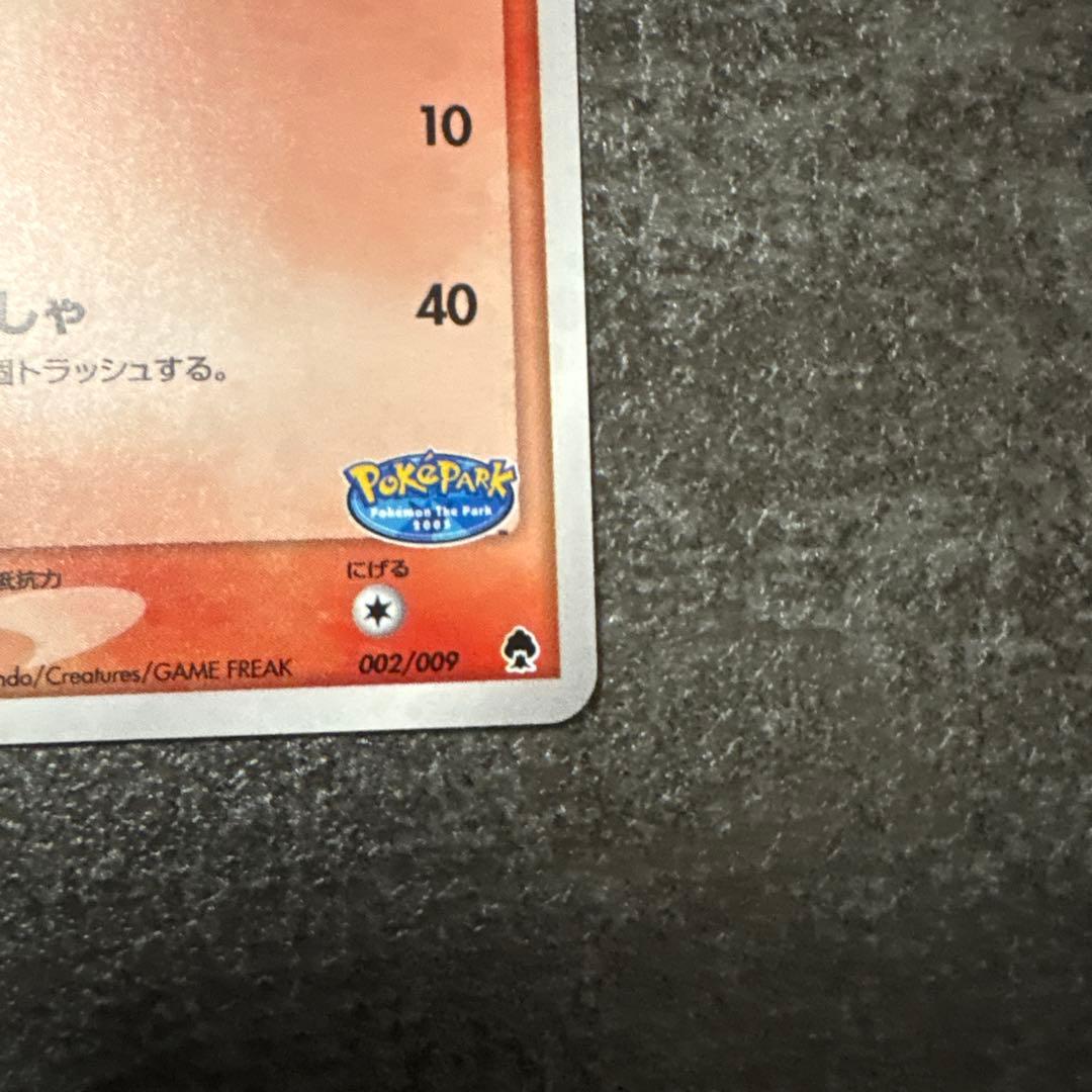 ポケモンカード キラ ポケパークのアチャモ プレミアムファイル 002/009