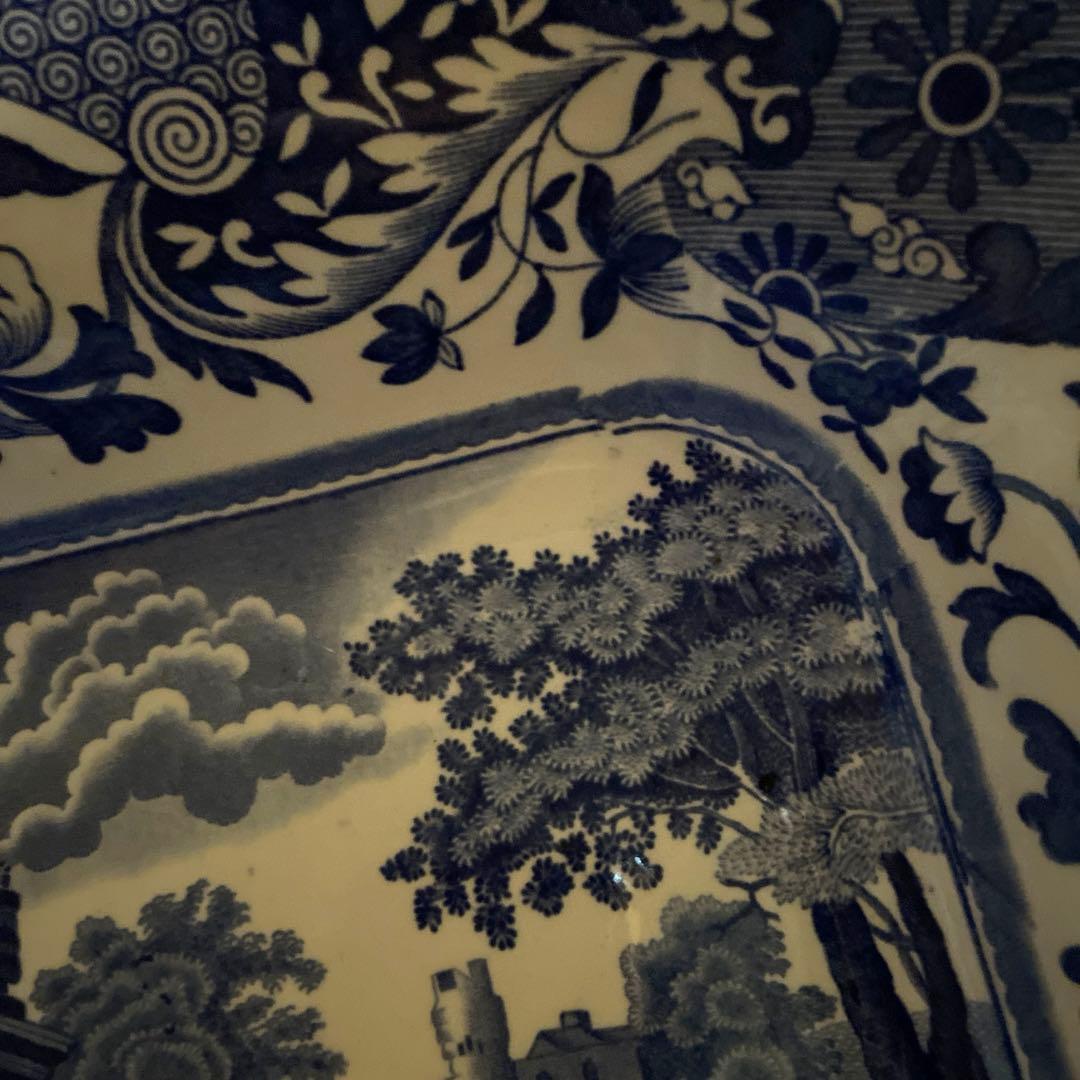 スポード　ブルーイタリアン/スクエア　ボウル