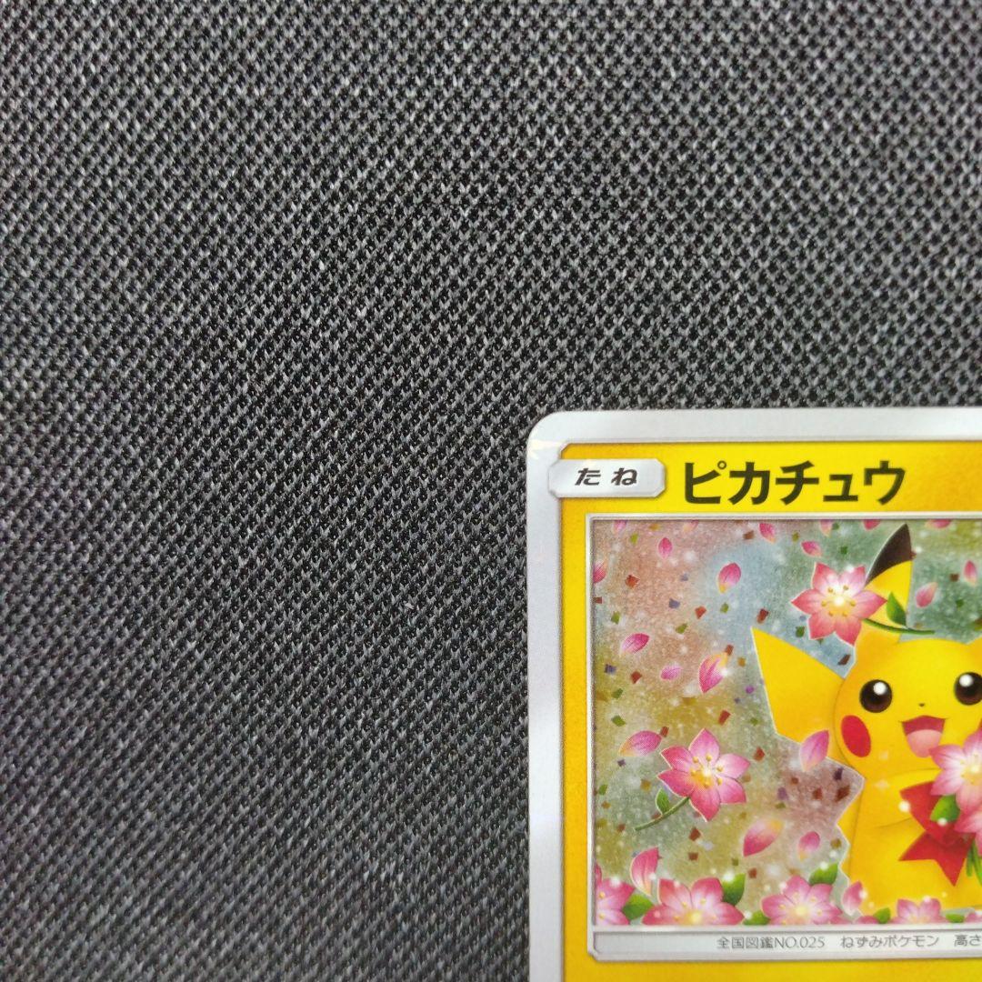 ピカチュウ みんなでいわう プロモ