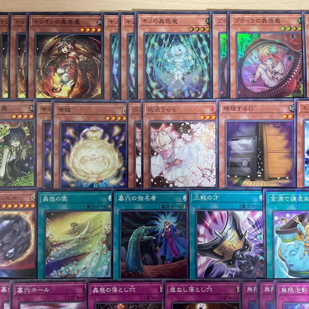 大会優勝構築 蟲惑魔デッキ セラの蟲惑魔 ライカの蟲惑魔 シトリスの蟲惑魔