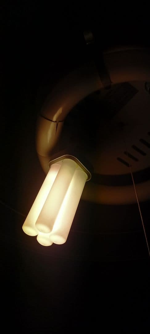 Panasonic ツイン蛍光灯　電球色　FDL13EX-L　13W　8個セット