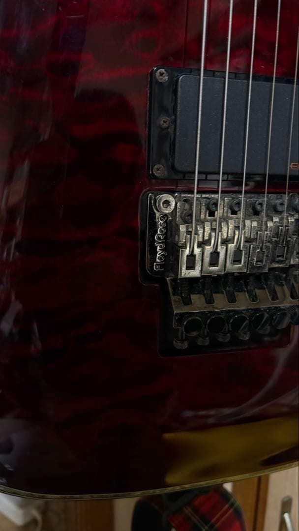 Schecter Hellraiser C-1FR 初心者セット