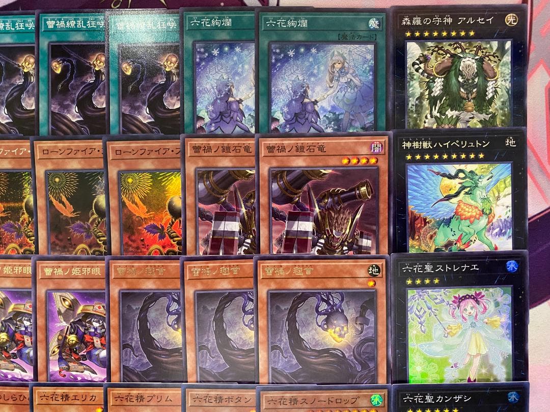 【24時間以内発送】遊戯王　蕾禍　六花　ライカ　本格構築済みデッキ