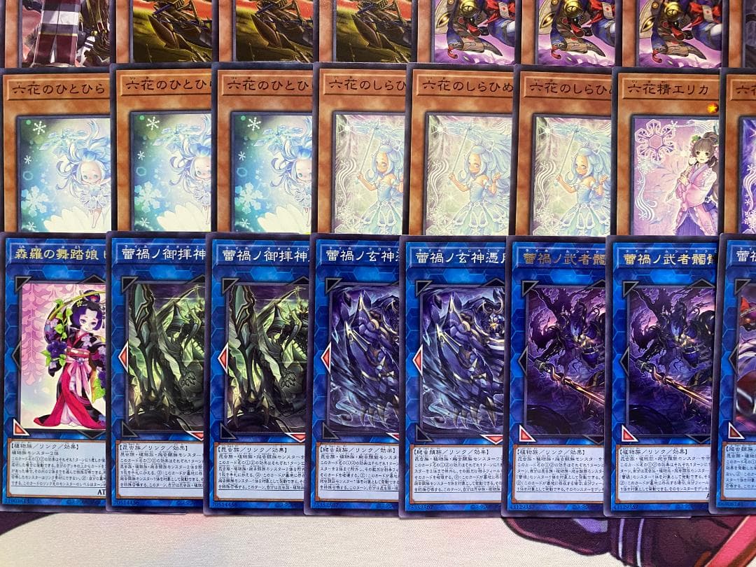【24時間以内発送】遊戯王　蕾禍　六花　ライカ　本格構築済みデッキ