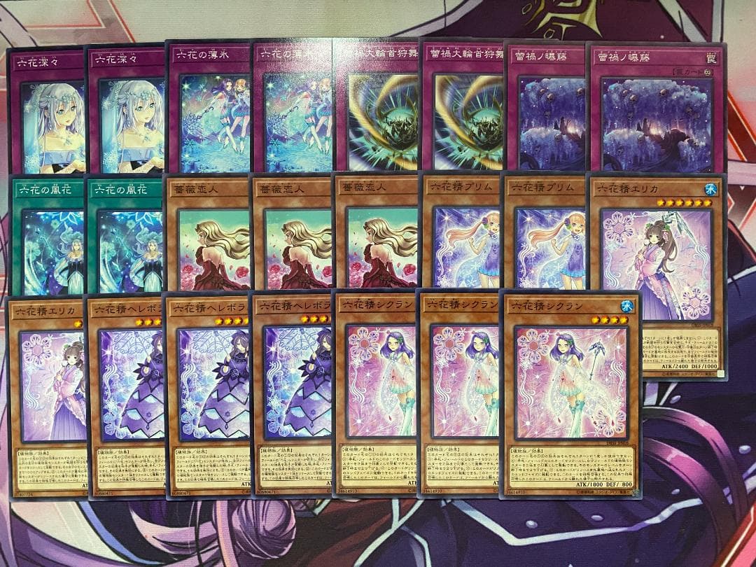 【24時間以内発送】遊戯王　蕾禍　六花　ライカ　本格構築済みデッキ