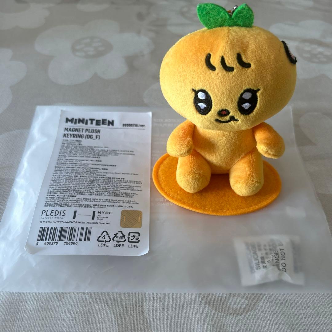 seventeen スングァン プギュリ マグネットキーホルダー