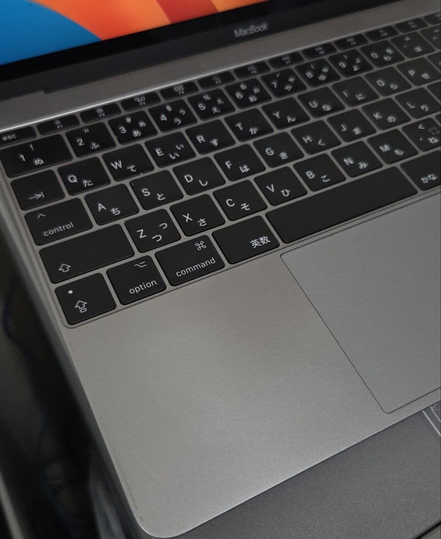 Apple MacBook 2017 (12インチ スペースグレイ)