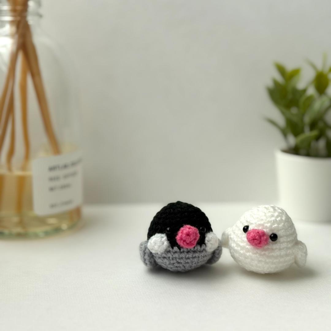 【コメント閲覧用】文鳥 白