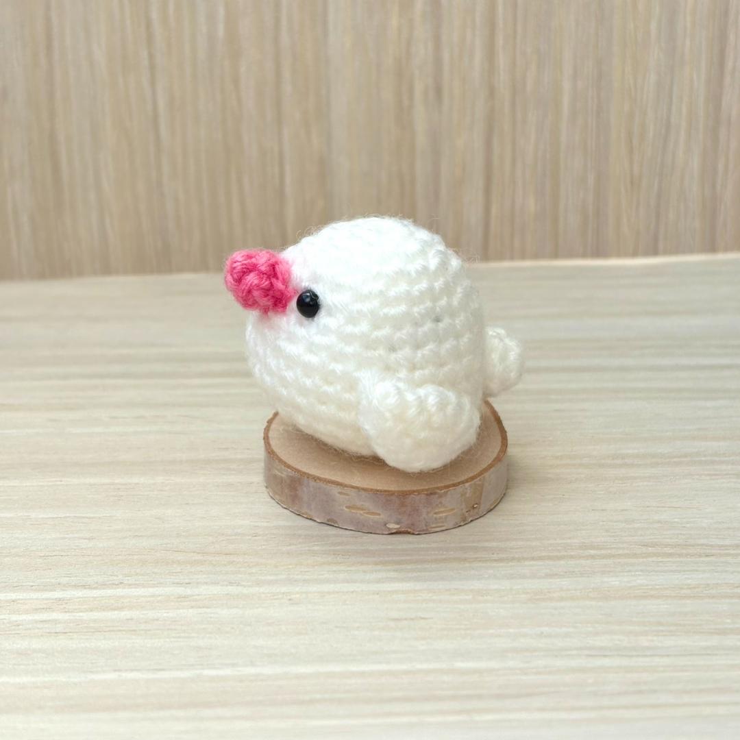 【コメント閲覧用】文鳥 白