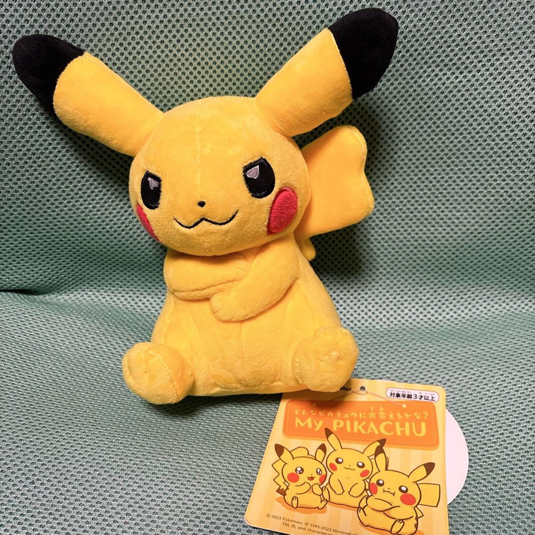 ポケモンセンター　ぬいぐるみ　まとめ売り　ピカチュウ ダイナー　リザードン