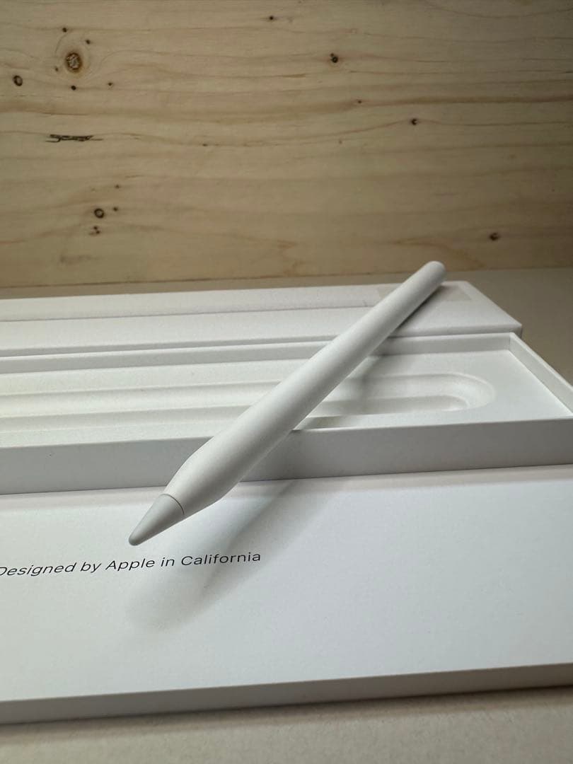 【美品】Apple Pencil USB-C MUWA3ZA/A P0KG5Q