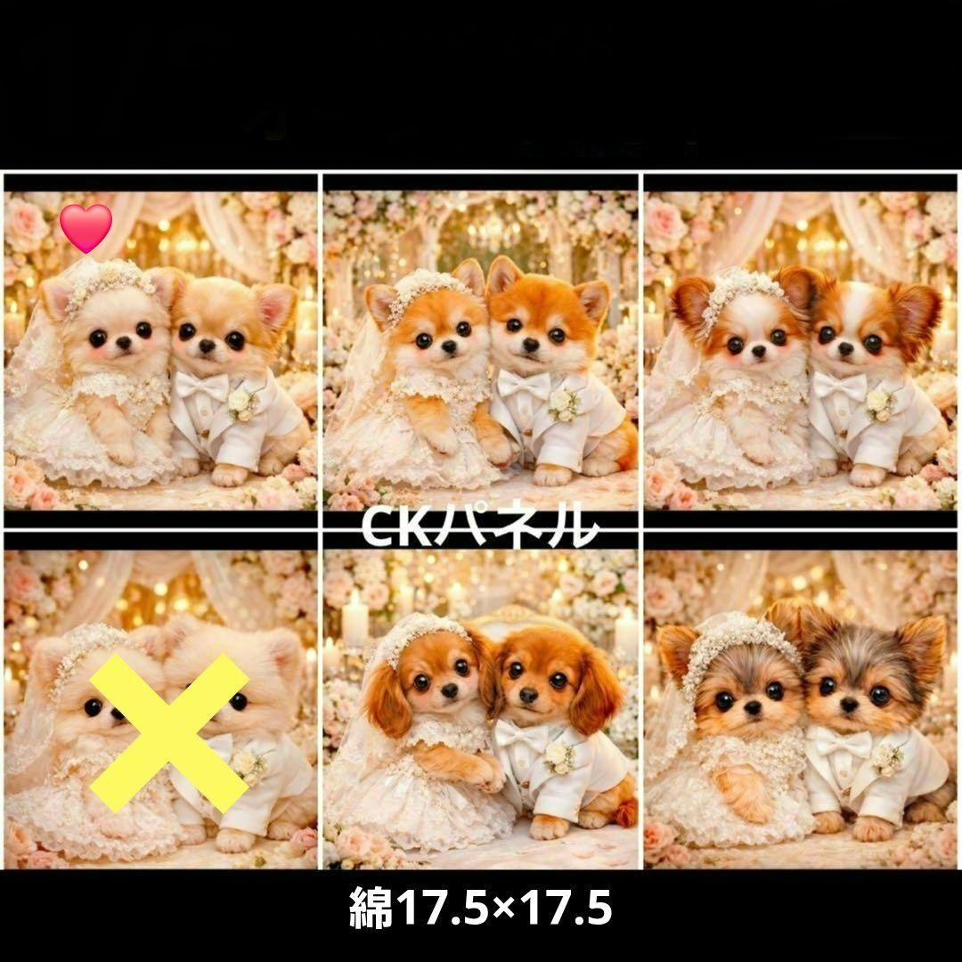 ❤︎.* An ❤︎.*様確認用