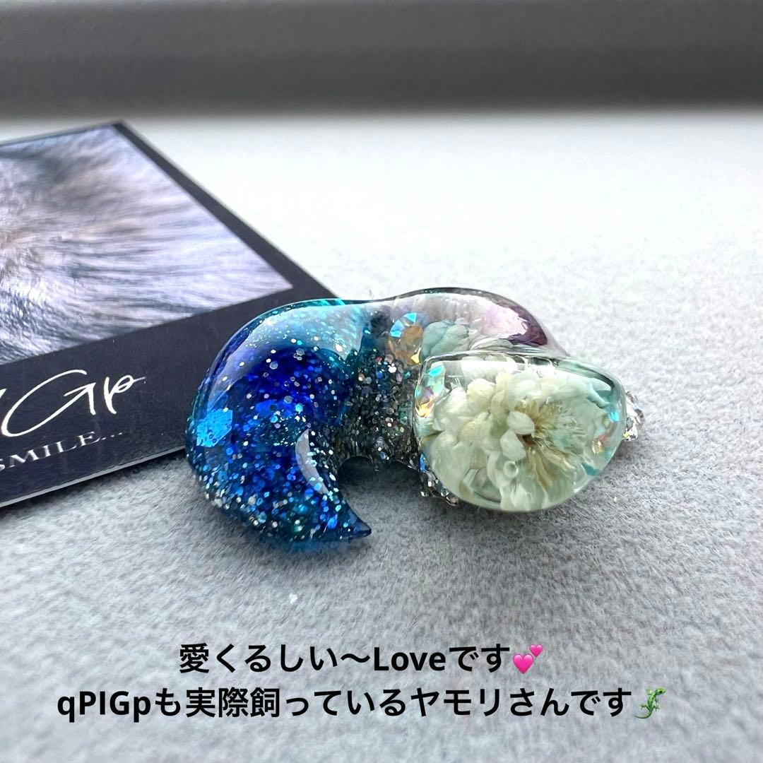 No.281 ヤモリ レオパ ヒョウモントカゲモドキ ニシアフ