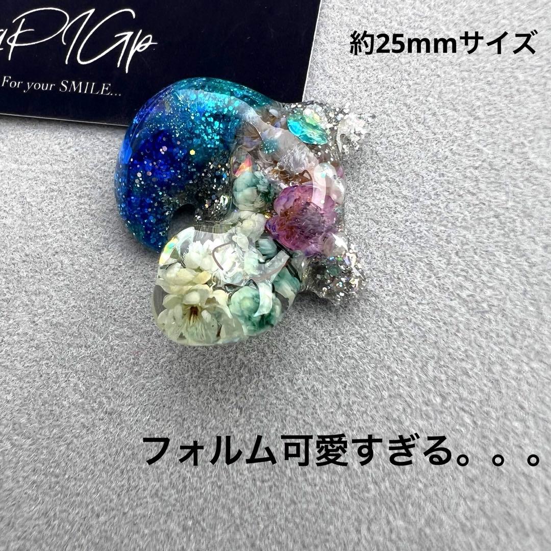 No.281 ヤモリ レオパ ヒョウモントカゲモドキ ニシアフ