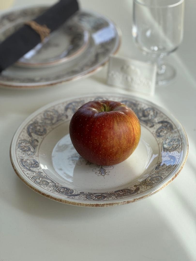 コスタノバ　サルディーニャ　ディナープレート2枚