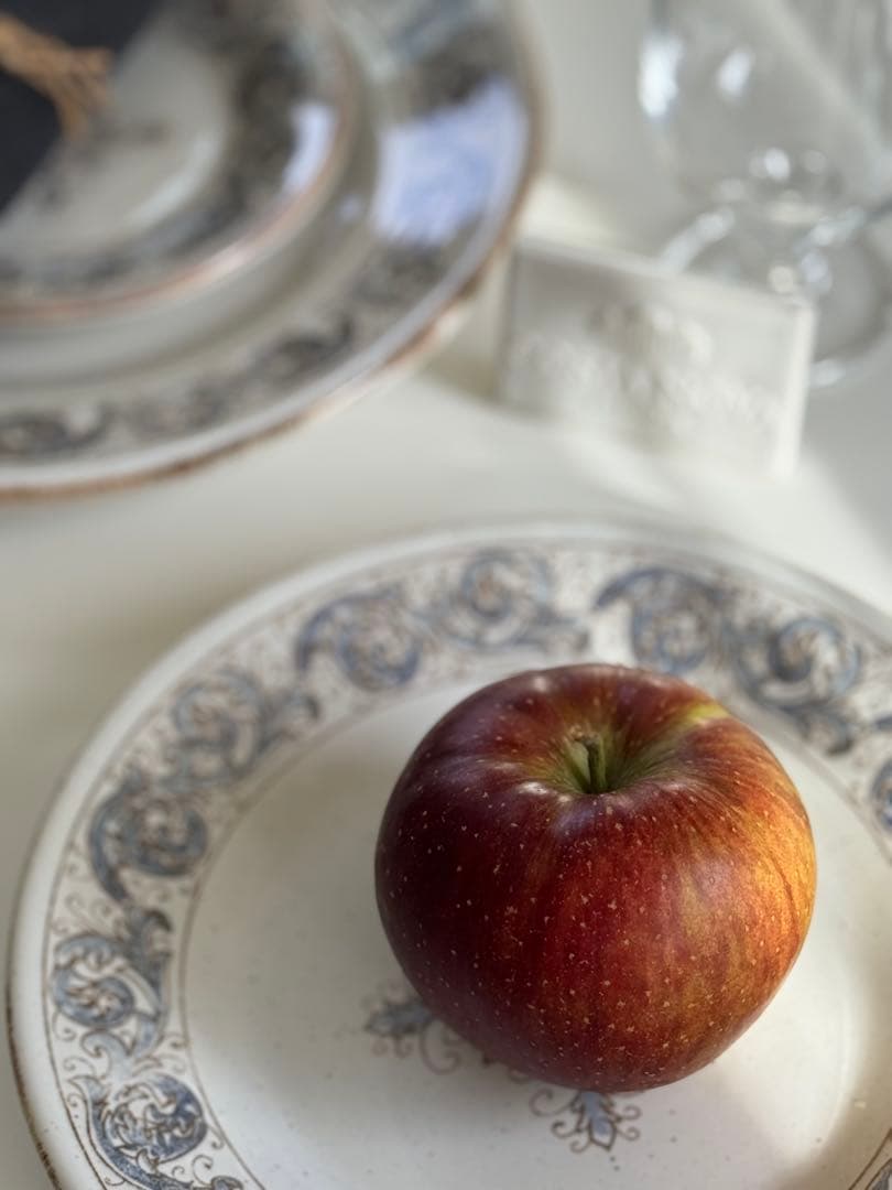 コスタノバ　サルディーニャ　ディナープレート2枚