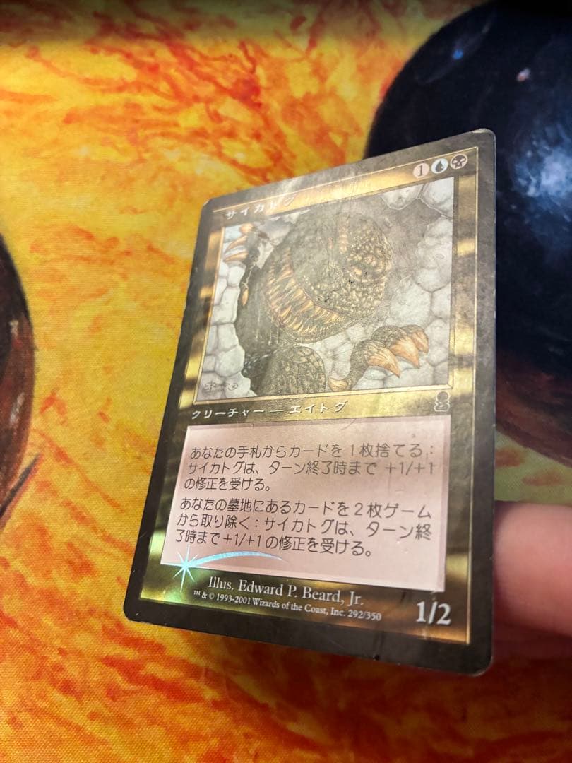 サイカトグ　foil