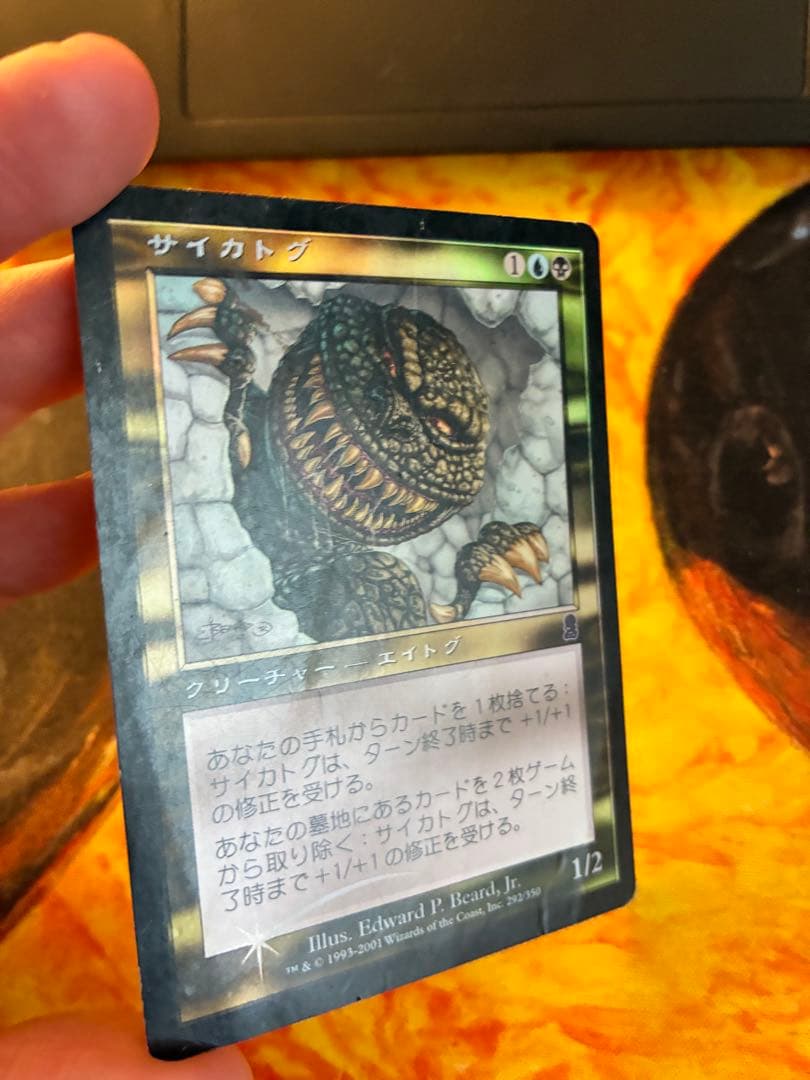 サイカトグ　foil
