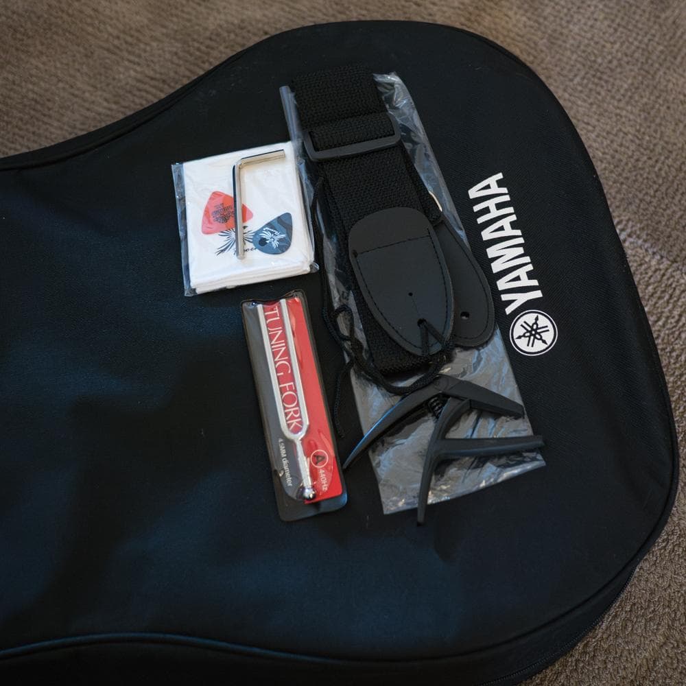 YAMAHA F-310P 2010年 極美品初心者セット