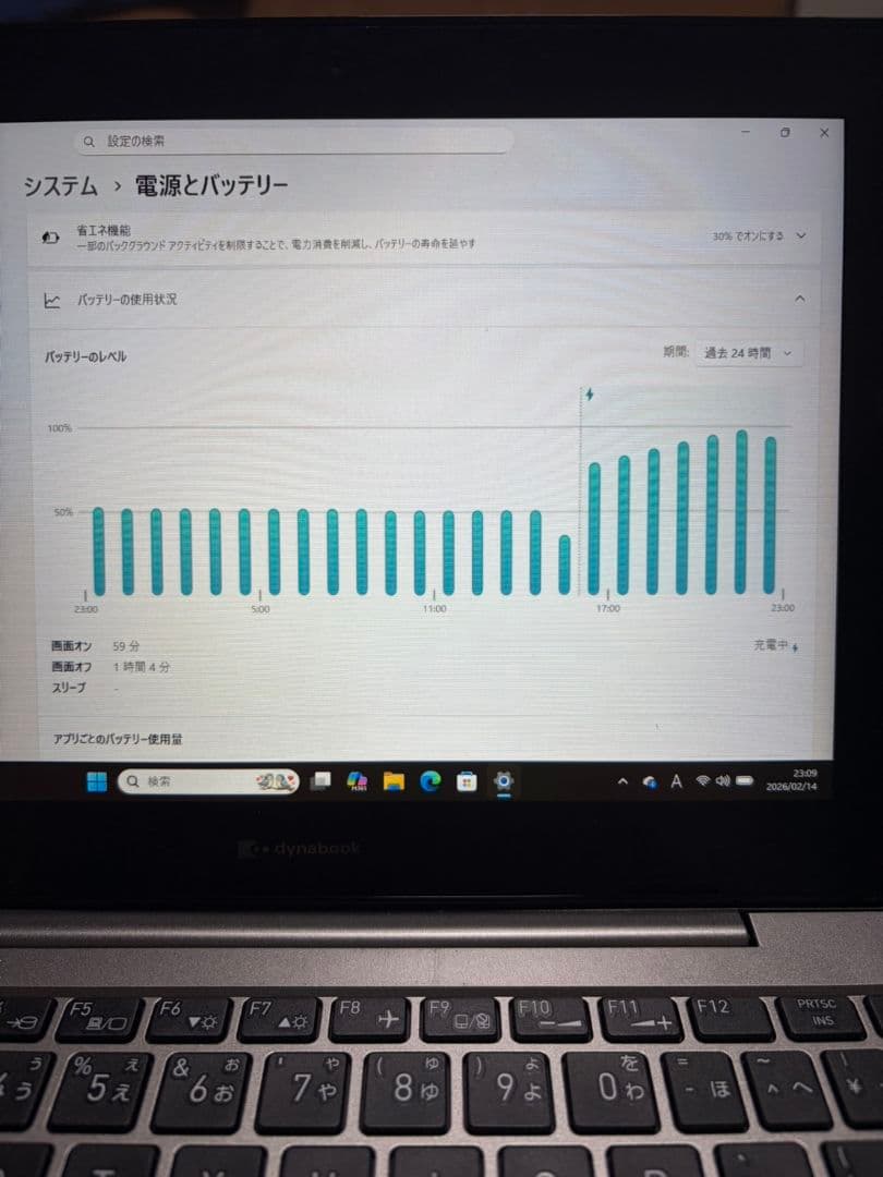 【本日限定で値下げ中】dynabook2in1 Windows11 113GB
