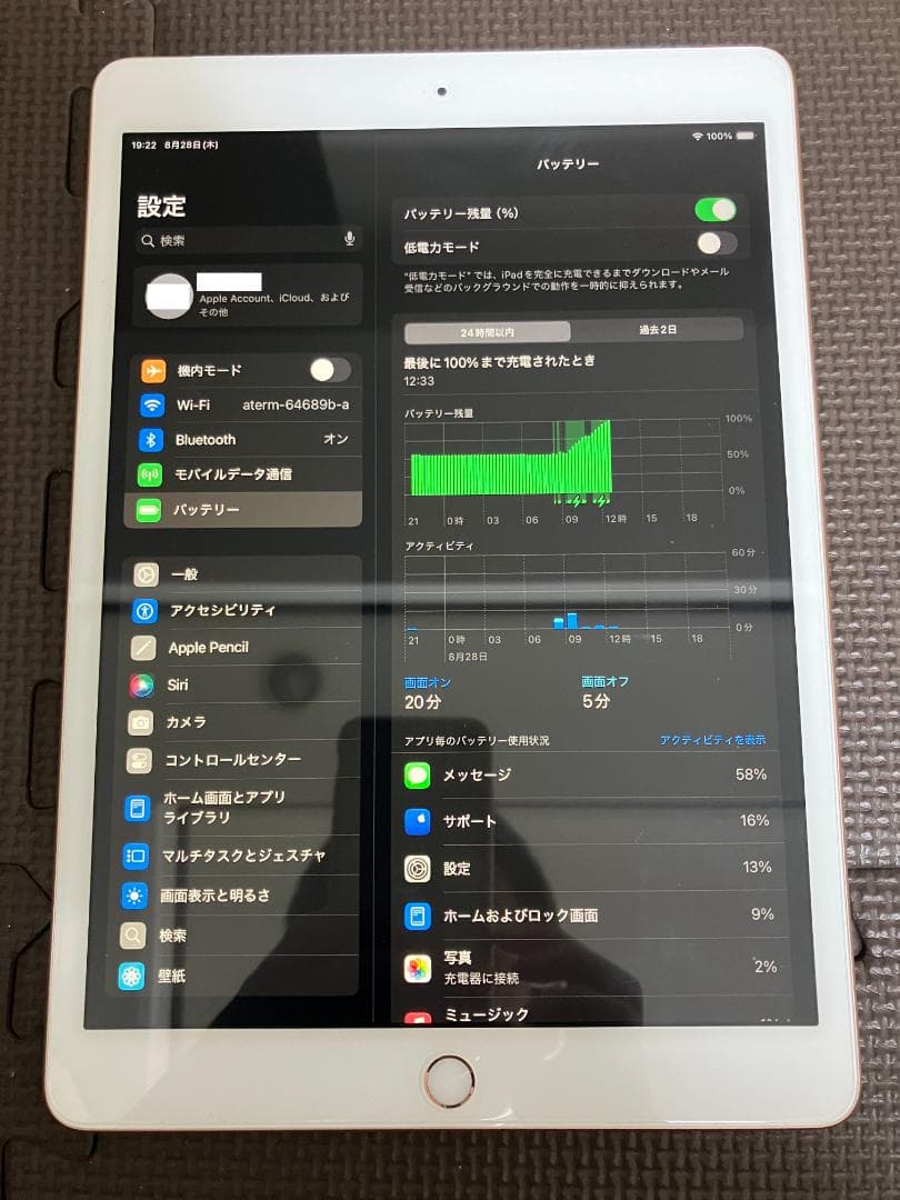 【極美品】 iPad 第7世代 32GB セルラー Cellular wifi