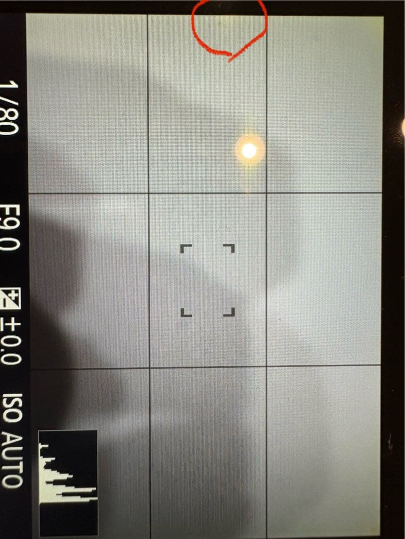 デジタルカメラ SONY Cyber-shot DSC-RX1